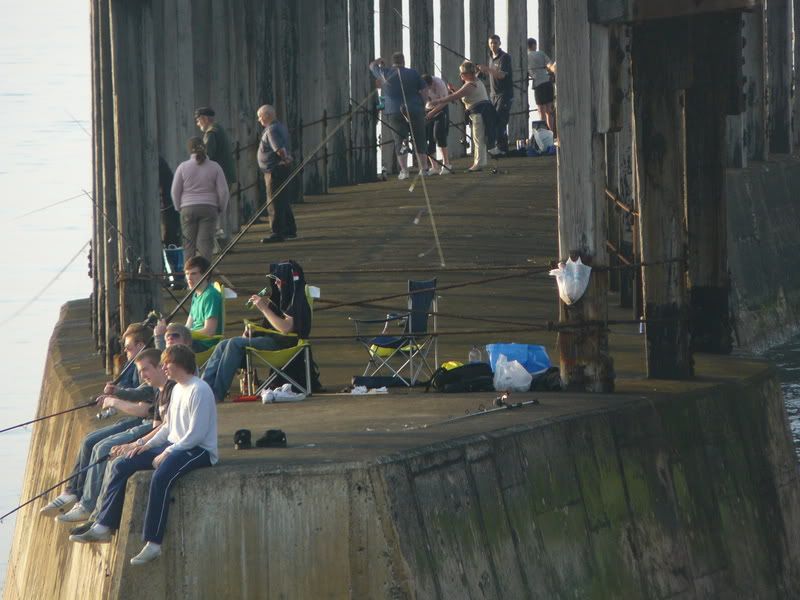 Whitby West Pier Mackerel Fishing Sea Fishing Fishing Forums From Anglers Net